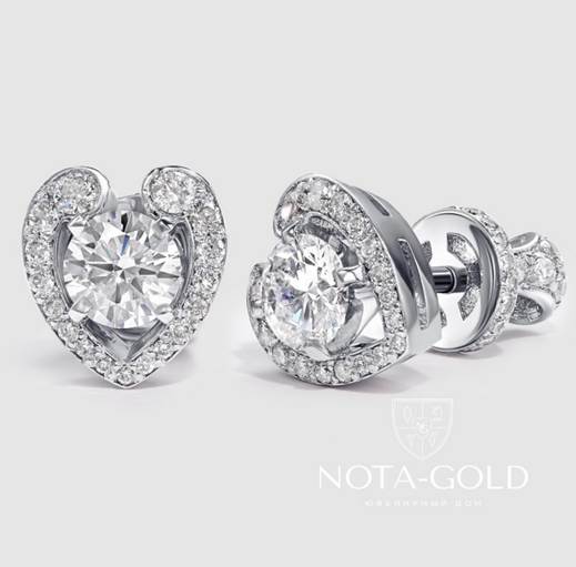 image005.jpg image005.jpg