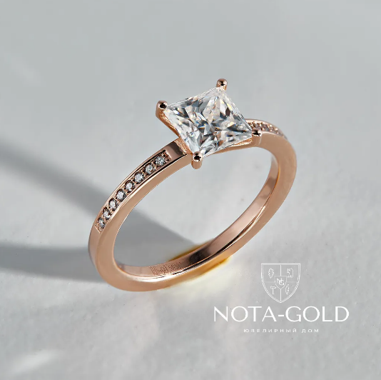 image005.png image005.png