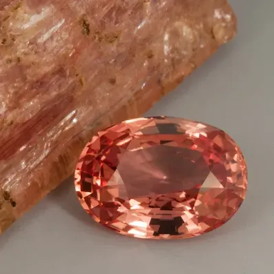 image006.png image006.png