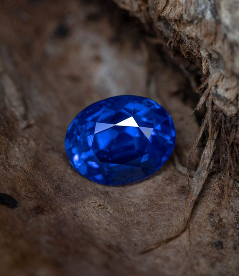 image014.png image014.png