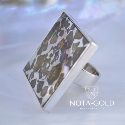 Оригинальное кольцо из серебра с метеоритом (камень клиента) (Вес: 35 гр.)