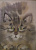 Картина батик на ткани - Кот 28x38 см