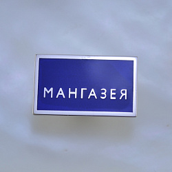 Корпоративный значок из белого золота с логотипом компании (Вес: 4 гр.)