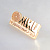 Золотой нагрудный значок из красного золота с логотипом компании (Вес 4 гр.)