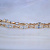 Женский браслет из красного золота с топазами и бриллиантами (Вес 5,5 гр.)