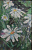 Картина батик на ткани - Цветы ромашки и стрекозы 25x37 см