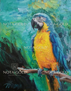 Картина маслом на холсте птица - Попугай 40x30 см