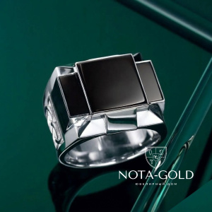 Мужская печатка из платины с ониксом и эмалью (Вес 45 гр.)