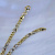 Женский браслет из жёлто-белого золота со знаком бесконечности (Вес 8 гр.)